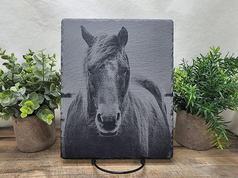 Horse picture on slate